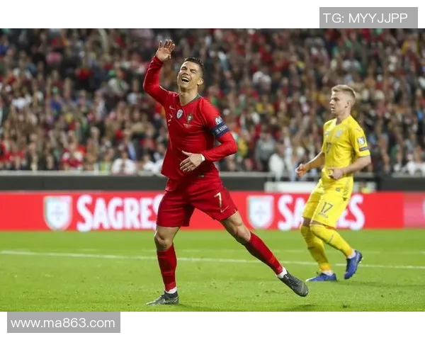 葡萄牙足球超级联赛新赛季前瞻 强队崛起与新星涌现的精彩对决